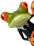 NationsChoice Mortgage Funding Frog